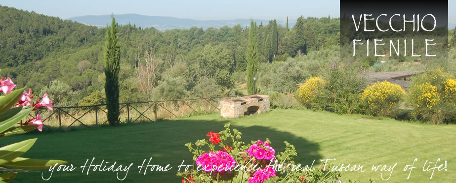 Holiday Houses near Siena and Florence: Vecchio Fienile and Bonorli