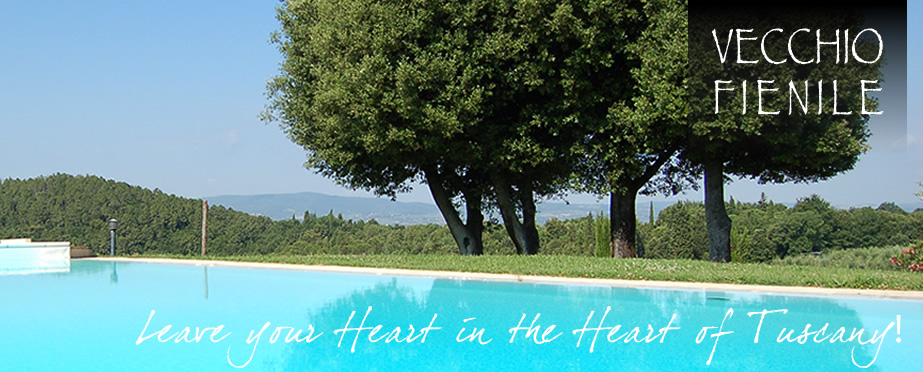 Holiday Home with Pool near Siena