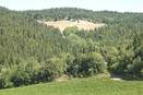  Bonorli: Colline Chianti