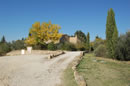 Strada di ingresso a Bonorli Bonorli: Strada
