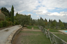 Bonorli on the Chianti Hills