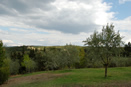 Bonorli | Chianti Countryside