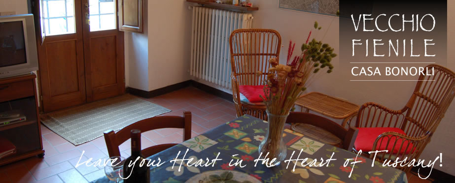 Tuscany Holiday House near Siena: Bonorli