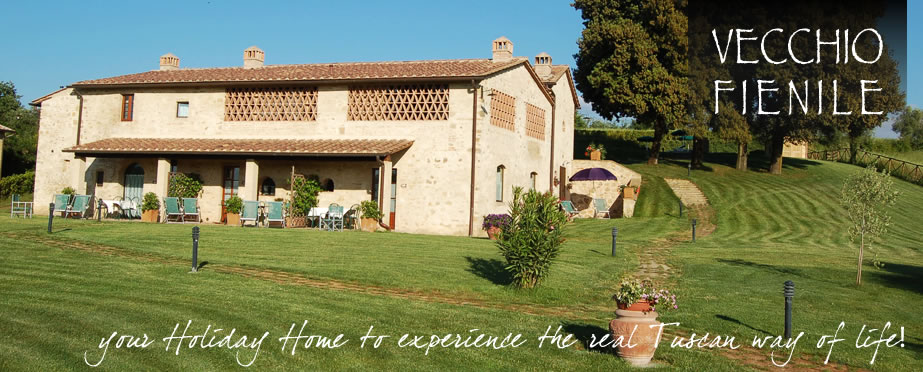 Holiday House Tuscany|Vecchio Fienile